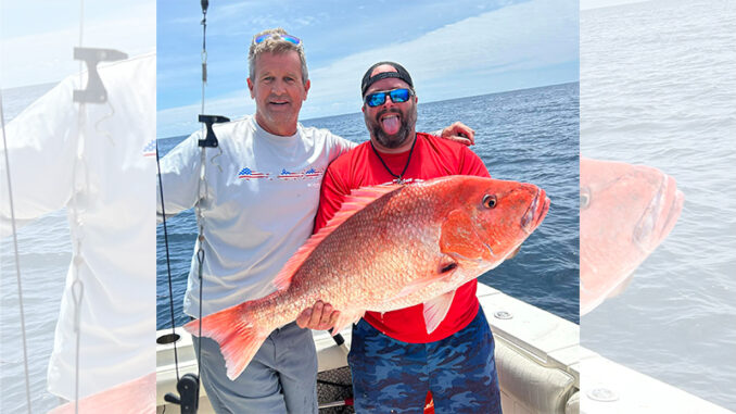 red snapper