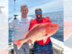 red snapper