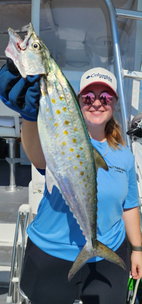 Spanish mackerel
