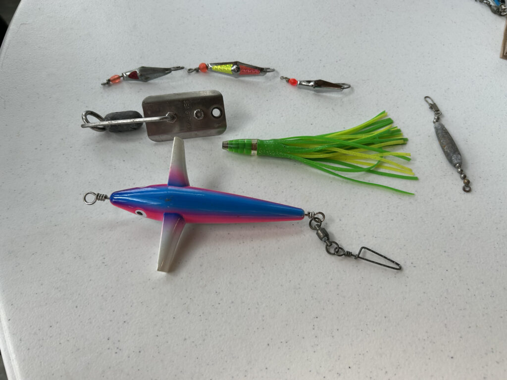 Spanish mackerel