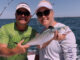 Spanish mackerel