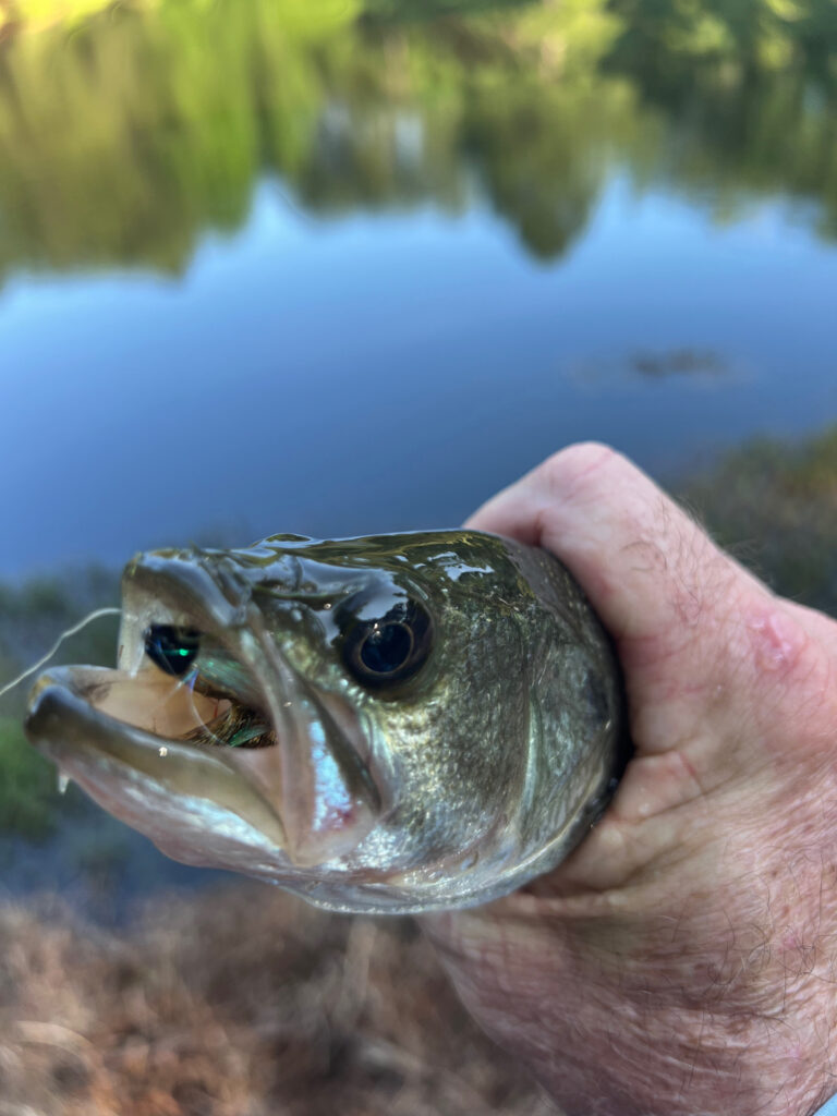 farm ponds