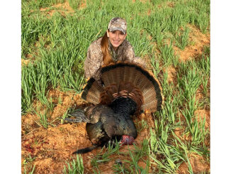 turkey