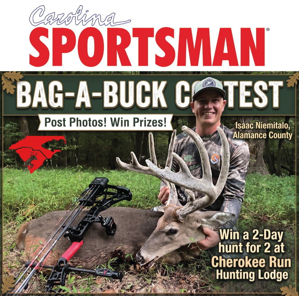 Bag-A-Buck