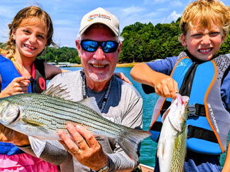 Lake Hartwell