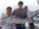 mixed bag