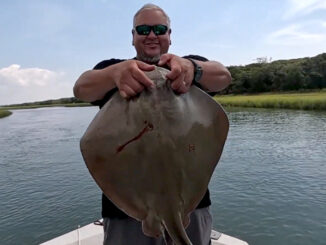 stingray