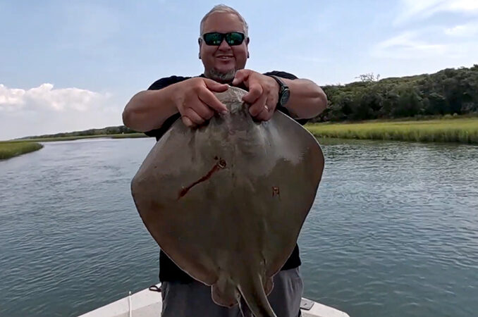 stingray