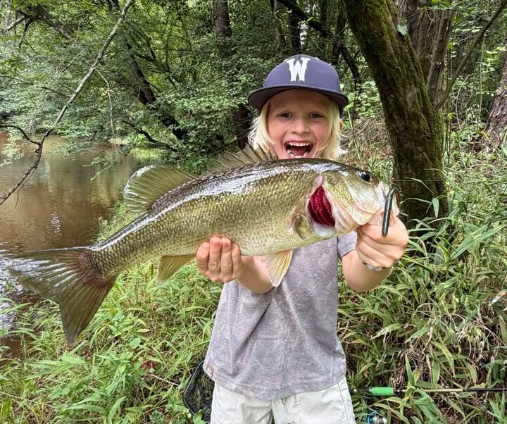 bass