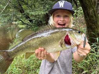 bass