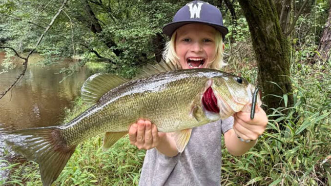 bass