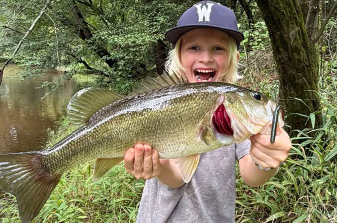 bass