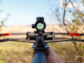 crossbow