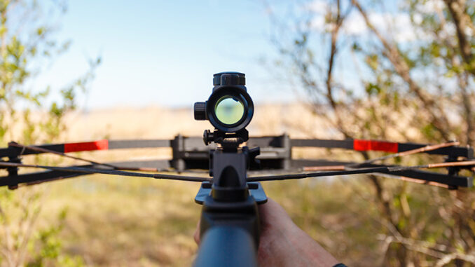 crossbow