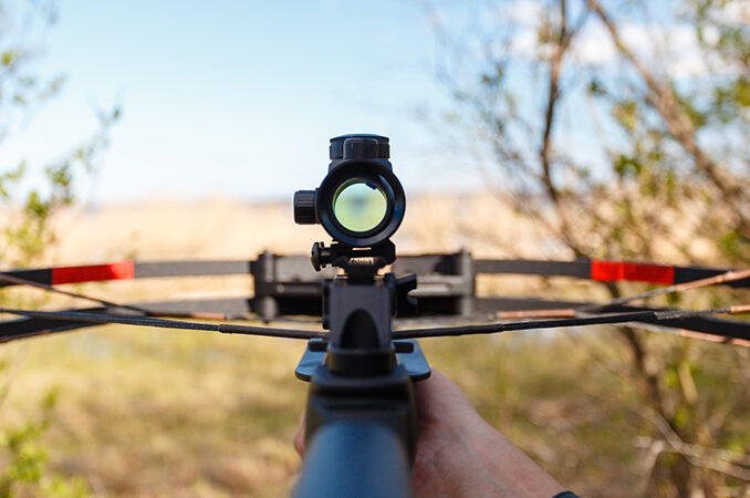 crossbow