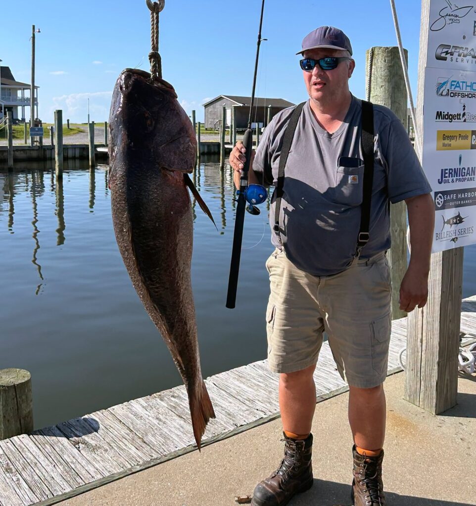 snapper