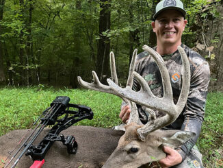 buck