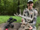 buck