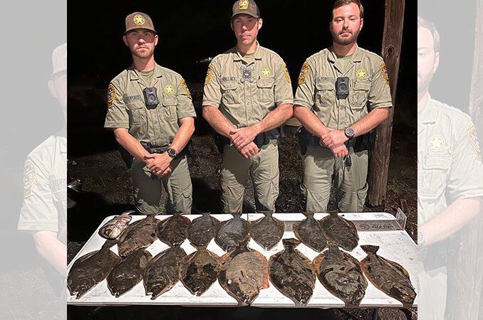 flounder