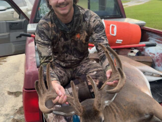buck