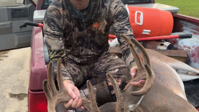 buck