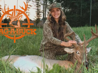 buck