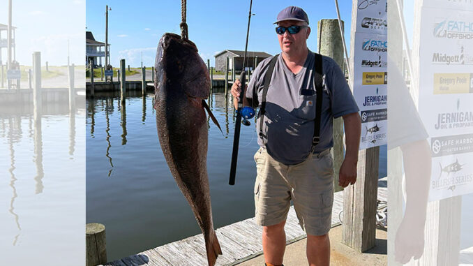 snapper