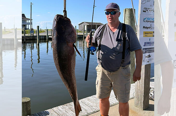 snapper