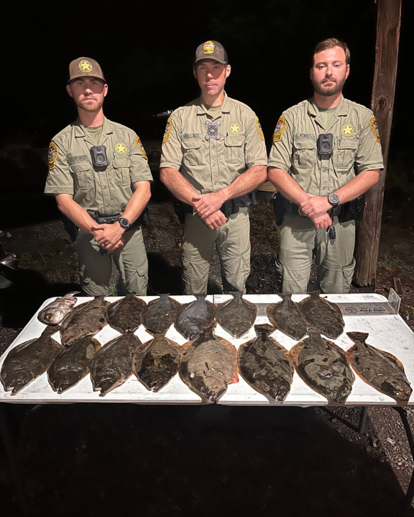 flounder