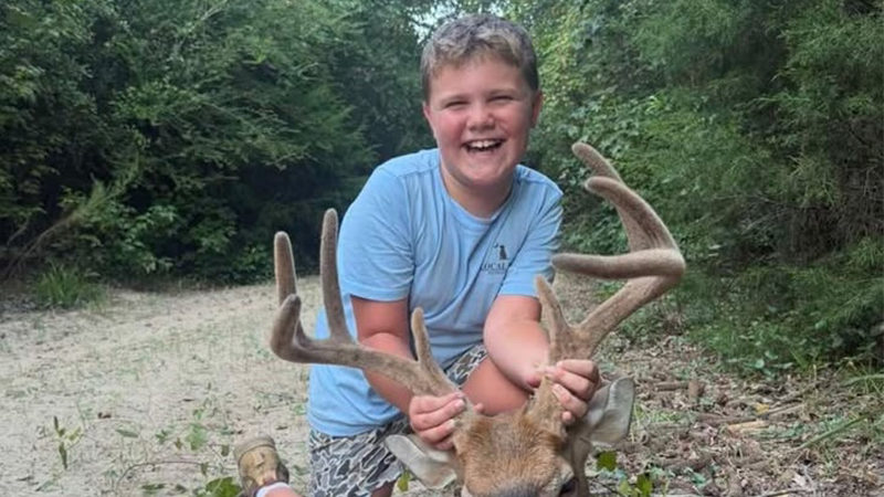 buck