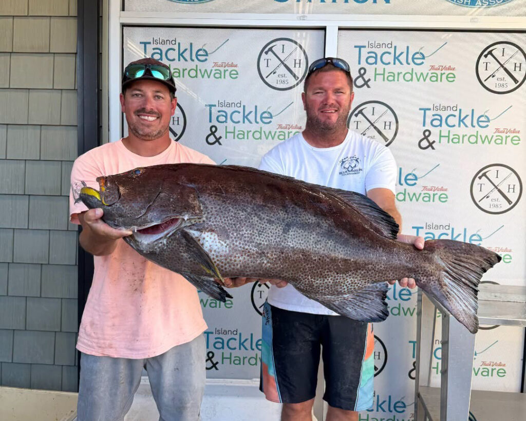 yellowfin grouper