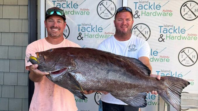 yellowfin grouper