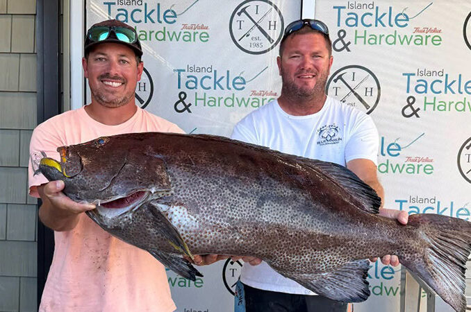 yellowfin grouper