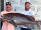 yellowfin grouper