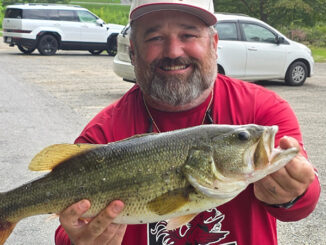 bass