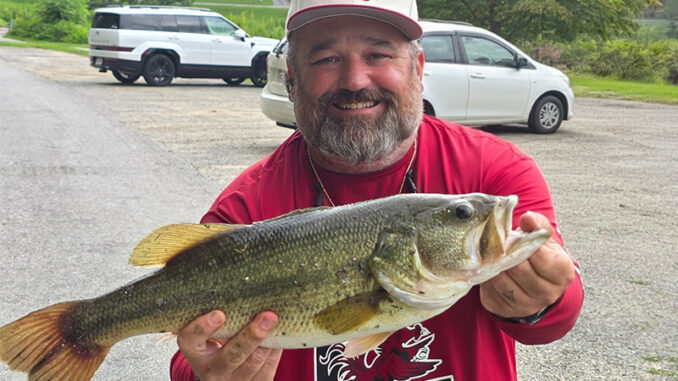 bass
