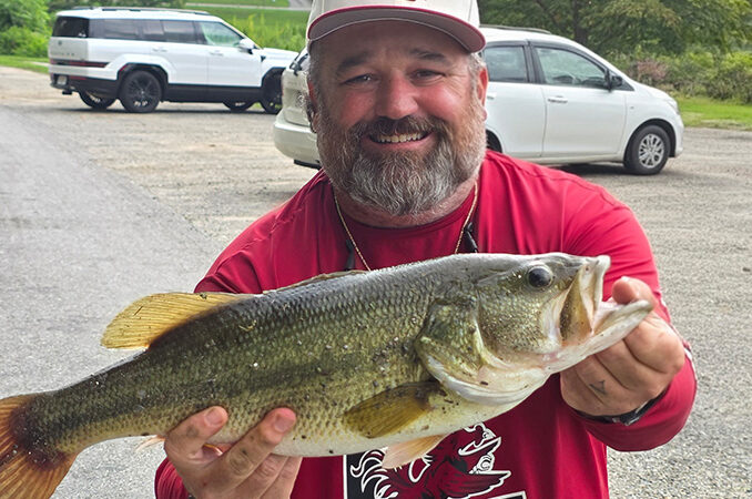 bass