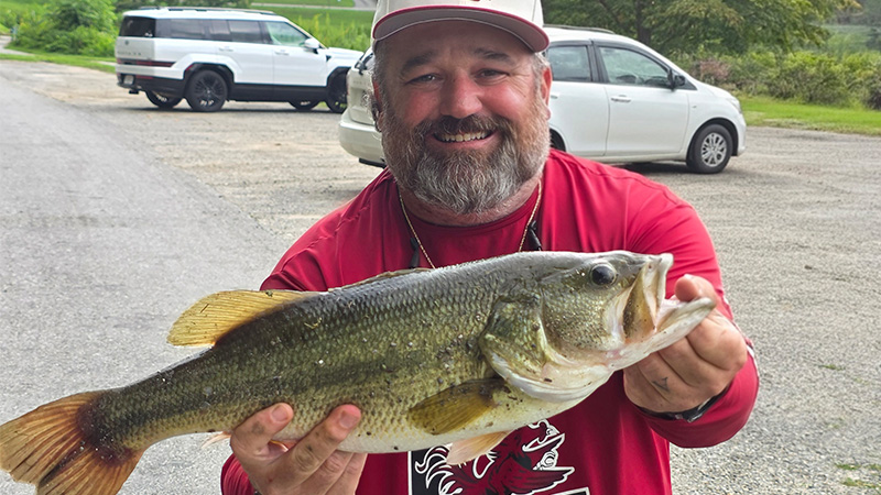 bass