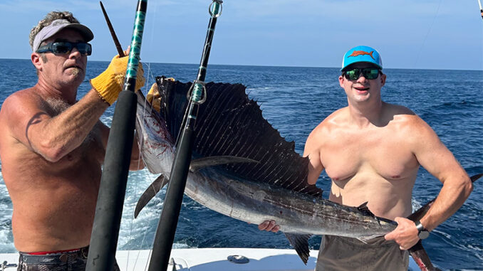 sailfish