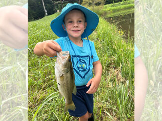 bass