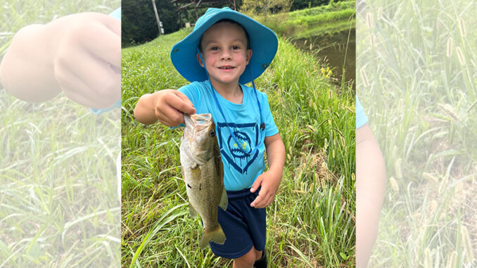 bass