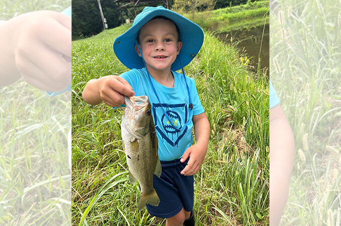 bass