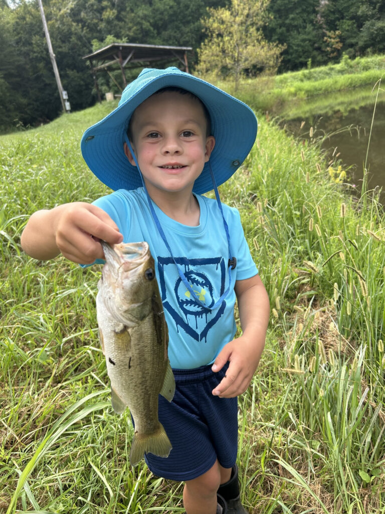 bass