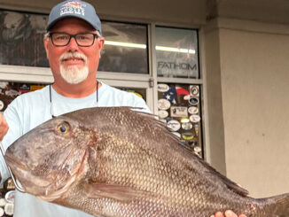 jolthead porgy