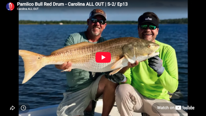 redfish