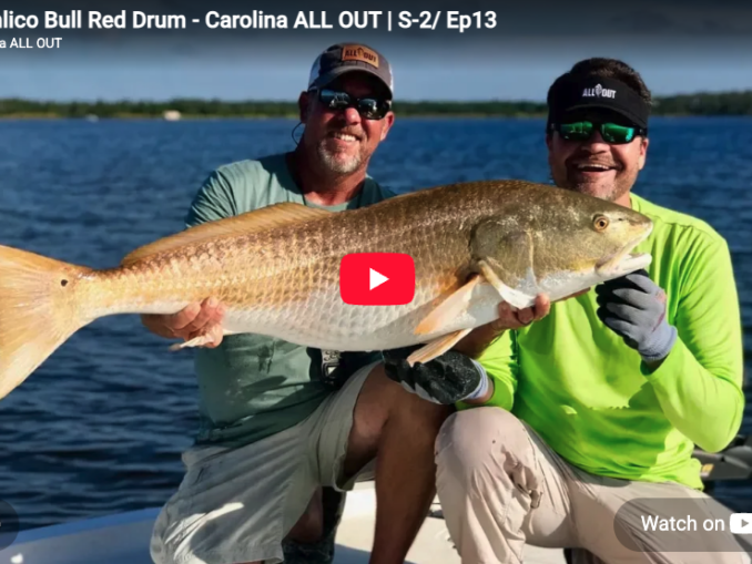 redfish
