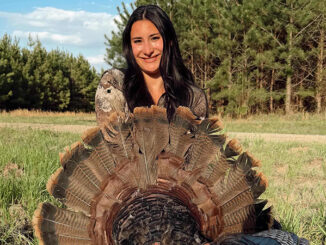 gobbler