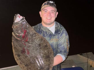 flounder