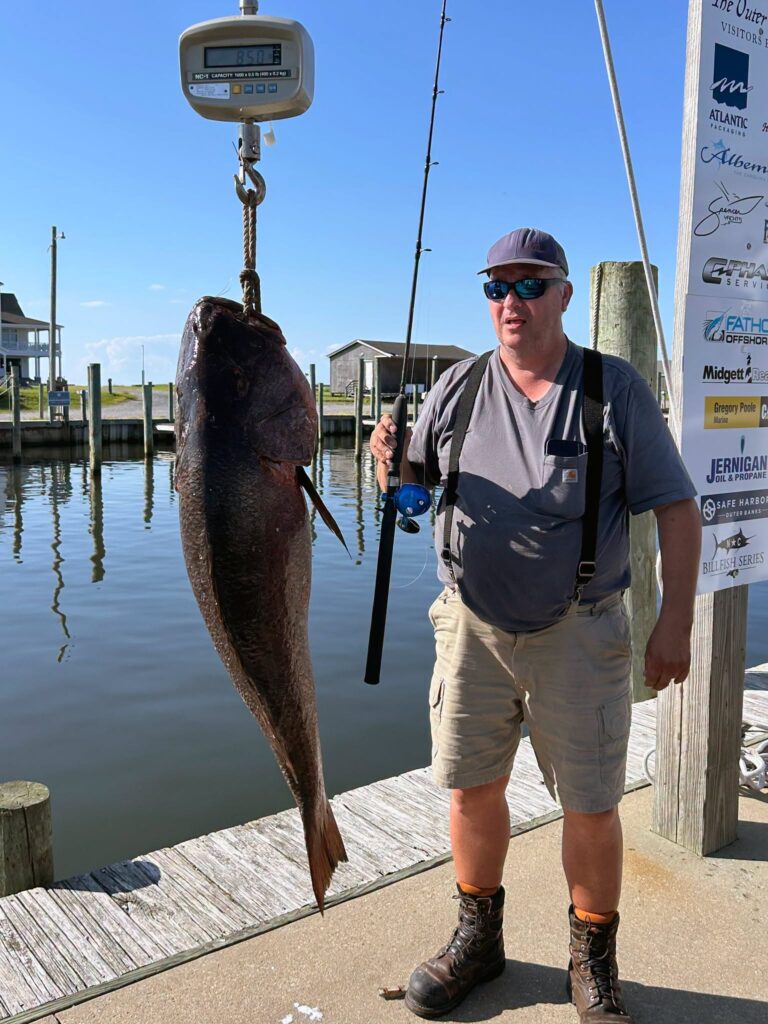 cubera snapper