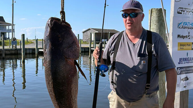 cubera snapper